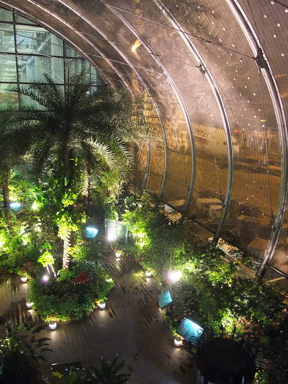 Butterfly Garden at Changi Airport