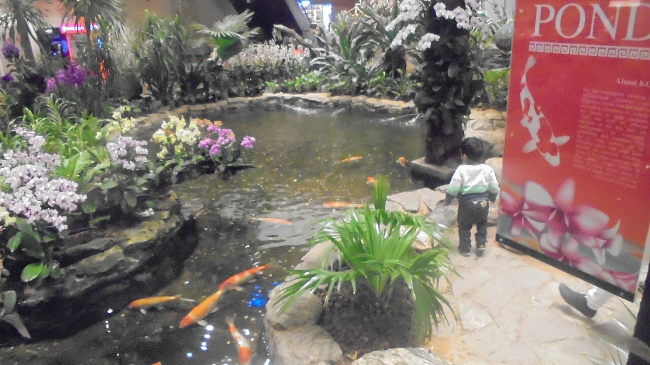 Orchid Garden at Changi Airport